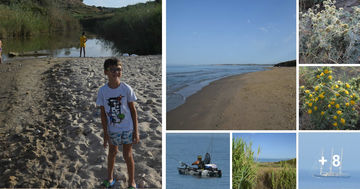 Spiaggia di Capparrina a Menfi: habitat ideale per diverse specie animali
