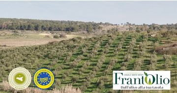 Due Enti, un’unica missione: garantire e promuovere l’eccellenza dell’Olio EVO siciliano