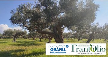 Dall’inchiostro all’olio: la storia del FrantOlio Casale Abate